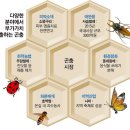 상일부화장 이미지