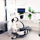 박플란트치과의원 이미지