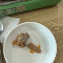 양지곱창 - 하남시 수리북로 15 | 용인 처인구 달레나순대국 양지점 현지맛집 잡내 없는 곱창전골 후기