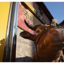 효동회관 이미지