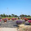 꽃지 휴펜션 이미지