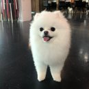 루이야 학교가자 이미지