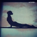 요가라테스 | 왕십리역 요가 요가라테스 왕십리역 요가 전문