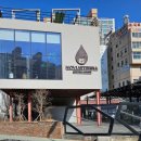 노부스테라 이미지