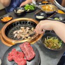 달인본가 | 속초(회식의 달인) 후기