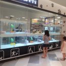 홈플러스(주)작전점 이미지