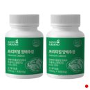 팜네이처