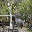 저류지야구장 | 5월 연휴 강원도 평창&amp;강릉 카페 맛집, 여주 카페 바하리야, 잠실 야구장과 닭강정 &amp;이것 저것 (*´꒳`*)