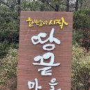 땅끝전망대 | 땅끝마을 전망대 다녀온 후기