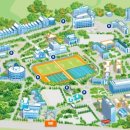 조선대학교 체육대학 이미지