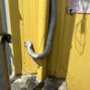 코리아 태권도 3관 이미지