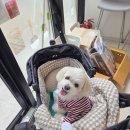 제이제이식당 이미지