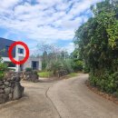 표선리-14 이미지