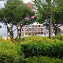 마로니에 이미지