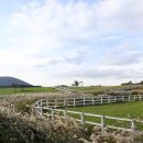 수근목장 이미지