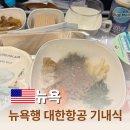 뉴욕가방 | 미국 신혼여행 뉴욕 인천 대한항공 탑승 후기 가방검사 기내식 좌석