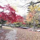 유명산밸리 캠핑장 이미지