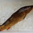 건강마을건강원 이미지