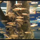 행정초등학교 이미지