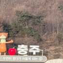 마산포교당 보현의집 | 🩷임신 후기 일상 - 예정일 D-3 😜 뒤늦게 써보는 게으른 임산부 일상 .. 22주 ~ 39주 임산부의 하루 하루👶🏻