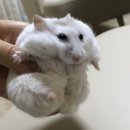 이** - 청도군 청도신기길 | 이**