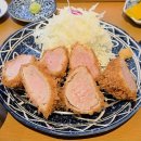 옥정동로 | 옥정동 돈까스 맛집 히마와리 히레카츠 정식 후기