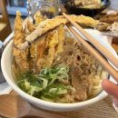 용산-387 | 에비스야 우동 용산점 내돈내산 솔직후기