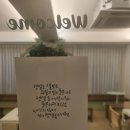 줍(zoooop) 네이버블로그