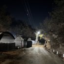 진정1농장 | 산현농장 닭백숙 물왕저수지맛집 방문후기