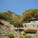 청량사 - 1641 | 청량사