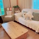 똘내미집 이미지