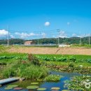 우포농촌체험휴양마을 이미지