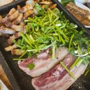 만경오리