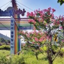 국도22호선 이미지