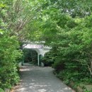 여수중앙여자중학교 이미지