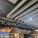 사랑을 볶는 카페 | 제주도 카페 맛집, 커피볶는 아저씨의 모리노코에 카페 내돈내산 솔직후기