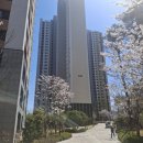 좋은이음공인중개사사무소 이미지