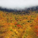Smugglers Notch State Park , Vermont , U. S. 이미지