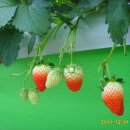 백호베드 이미지