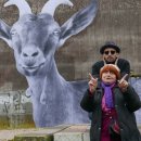 염소사랑농장 이미지