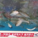 남해어시장 이미지