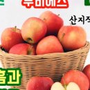 주영농원