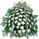 종*김* 이미지