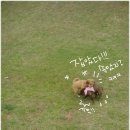 주말에 루미 꼬미언니랑 놀고왔어요~ 이미지