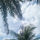 호텔하니크라운 | [베트남푸꾸옥] 분위기와 가성비 좋은 크라운 플라자 석식 BBQ 뷔페 내돈내산 후기