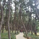 송림2리 이미지