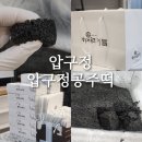 서울 3대 떡집 흑임자 인절미 1호 후기 및 보관방법 압구정공주떡 내돈내산