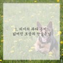 브이의원 네이버블로그