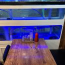 횟집변선생 이미지