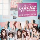 청춘시대 | 청춘시대1·2 후기/리뷰